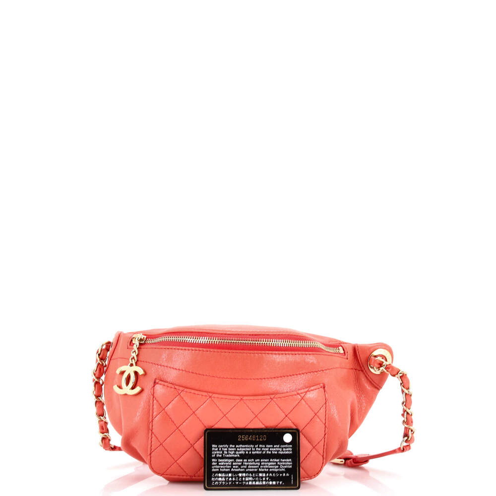 Chanel Bi Classic Waist Bag Quilted #233914C24B - Picture 2 of 9